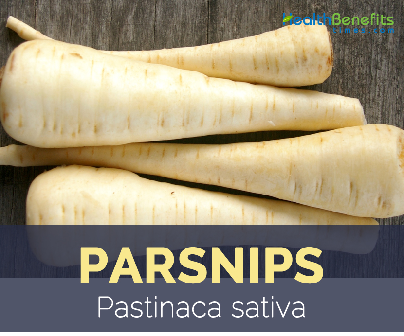 Parsnips facts and health benefits