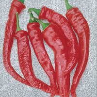 Pepper Cayenne Large Thick