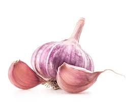 Purple Stripe Garlics