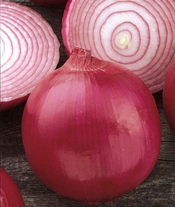Red Delicious Onion