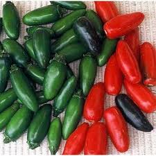 Serrano pepper