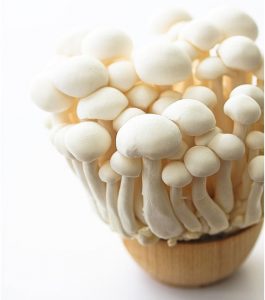 Shimeji Mushrooms