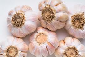 Silverskin Garlics
