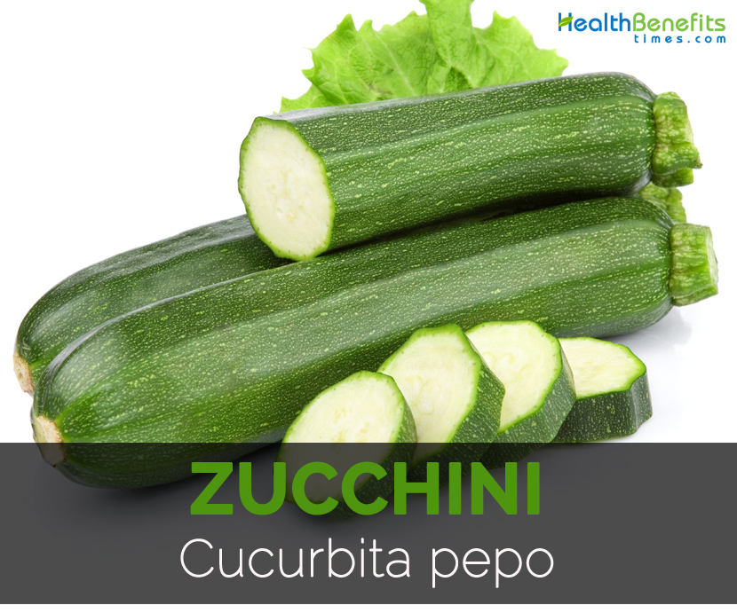 Zucchini-Cucurbita-pepo