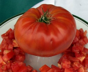 Andrew Rahart's Jumbo Red Tomato