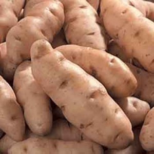 Anya Potatoes