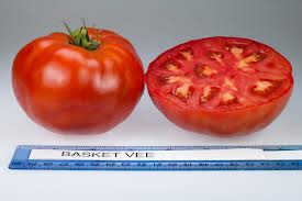 Basket Vee Tomato
