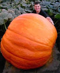 Big Max Pumpkin