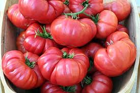 Big Raspberry Tomato