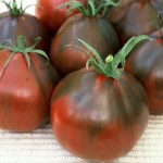 Black Pear Tomato 