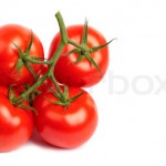 Branch Tomato