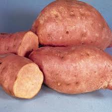 Centennial Sweet Potatoes