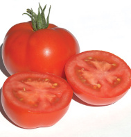 Dafel Tomato