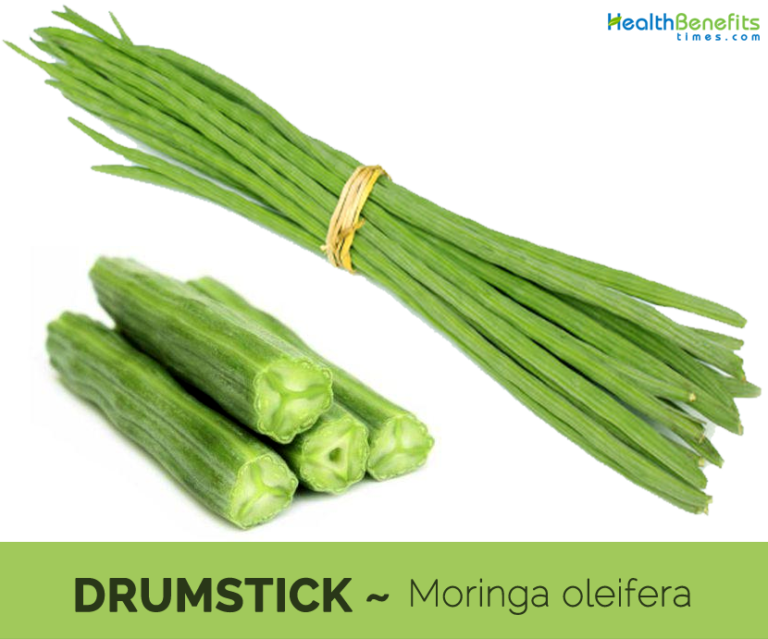 Top health benefits of Drumsticks HB times