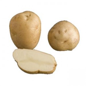 Dunbar Rover Potatoes