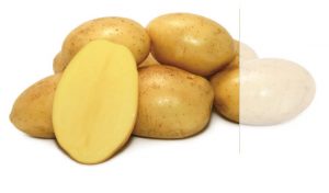 Estima Potatoes
