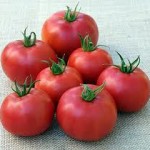 Eva Purple Ball Tomato 