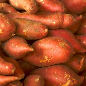 Georgia Jet Sweet Potatoes