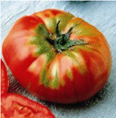 German Head tomato