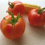  German Stripe Tomato 