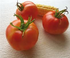 German Stripe Tomato