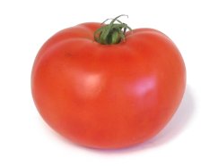 Globe Tomato