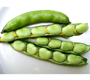 Health benefits of Broad Beans