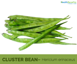 Health benefits of Cluster Beans