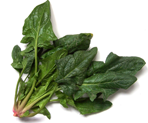 Health benefits of Spinach