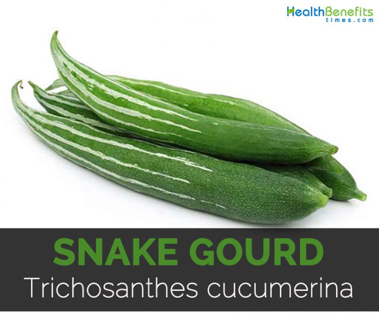 Snake Gourd Facts, Health Benefits and Nutritional Value