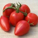 Mama Leone Italian Tomato