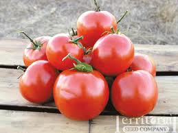Manitoba Tomato
