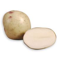Osprey Potatoes