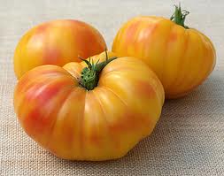 Oxacan Jewel Tomato