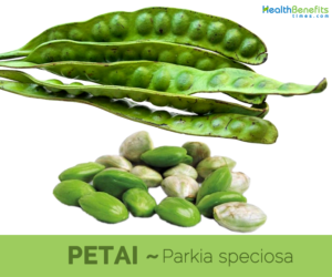 Petai-health-benefits