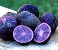 Purple Majesty (all-purpose) Potatoes