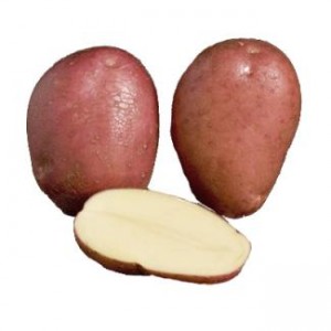 Rooster Potatoes