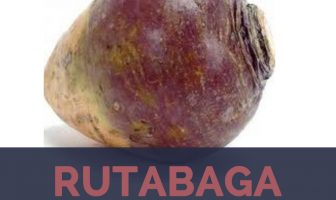 Rutabaga facts and health benefits