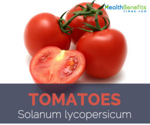 Tomatoes facts and health benefits