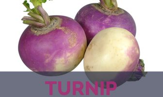 Turnip facts and health benefits