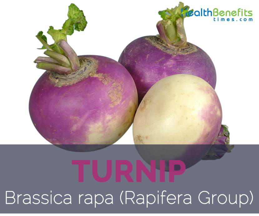 Turnip facts and health benefits