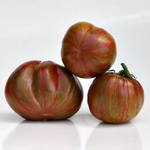 Tye-Dye Tomato