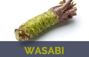 Wasabi facts and health benefits