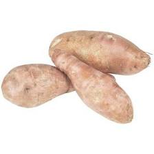 White Delite Sweet Potatoes