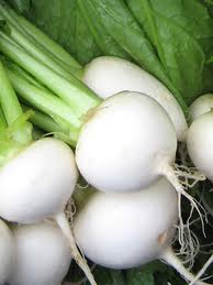 White Egg Turnip