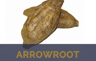 Arrowroot facts and health benefits