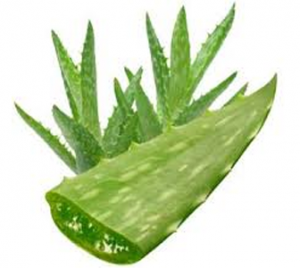 Health benefits of Aloe-Vera