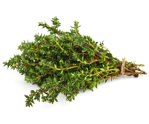 Health benefits of Thyme