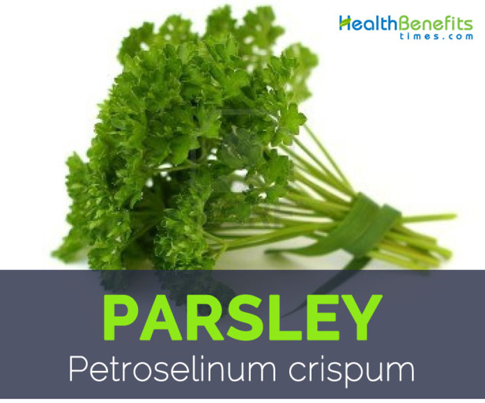 Parsley, Health Benefits and Nutritional Value