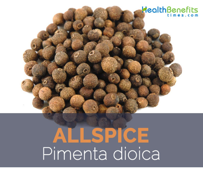 Allspice facts and health benefits
